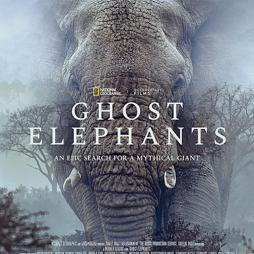 Ghost Elephants - Werner Herzog