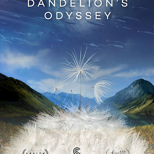 Dandelion's Odyssey - Momoko Seto