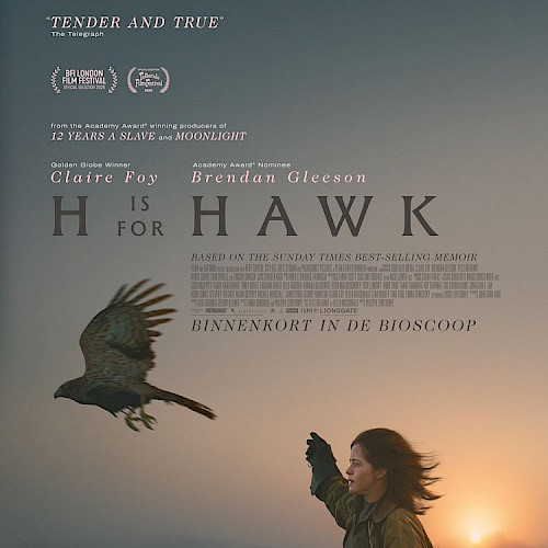 H is for Hawk - Philippa Lowthorpe